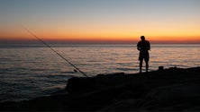 Imagem de Volume da pesca recreativa na Madeira ronda as 1500 toneladas anuais (Áudio)