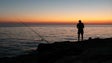 Volume da pesca recreativa na Madeira ronda as 1500 toneladas anuais (Áudio)