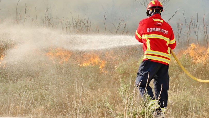 Incêndios: Fogo com três frentes ativas no Algarve combatido por 200 operacionais e 11 meios aéreos