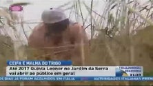 Ceifa e malha do trigo foi recordada no Jardim da Serra