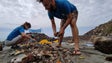 Imagem de Ambientalistas limpam na Ponta do Sol (vídeo)