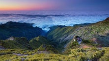 Imagem de Madeira assinala nomeação para Melhor Destino Insular do Mundo com nova campanha