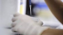 Imagem de Investigadora madeirense no encalço da erradicação da malária