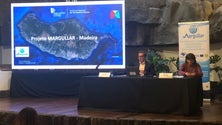 Imagem de Rota Arqueológica Subaquática da Ponta de São Lourenço vai começar a ser promovida