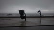 Imagem de Vento e chuva fortes marcam a Madeira nesta sexta-feira