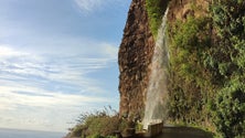 Limpeza da escarpa sobranceira à Estrada dos Anjos começa amanhã (áudio)