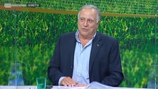 Imagem de Rui Fontes faz contactos para avançar com uma candidatura à presidência do Marítimo (Vídeo)