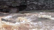 Imagem de Angra do Heroísmo minimiza risco de cheias (Vídeo)