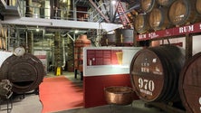 Imagem de Rum da Madeira melhorou a sua qualidade (áudio)