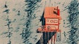 Imagem de Português `Ice Merchants` sonha com Óscar inédito