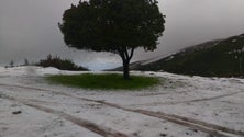 Imagem de Neve cobre de branco as serras da Madeira (vídeo)