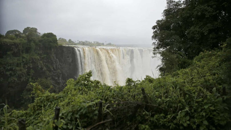 Apenas 3% do planeta permanece ecologicamente intacto