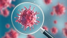 Imagem de Variante britânica detetada em 60 países