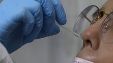 Imagem de Portugal ultrapassa «nível crítico» de gravidade da pandemia