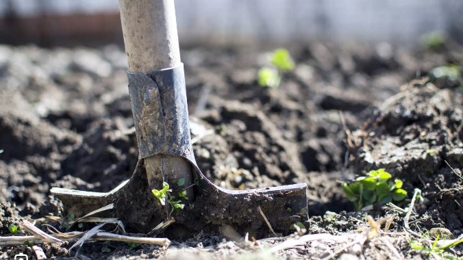 Bruxelas mobiliza ajuda de 11,6 milhões para agricultores