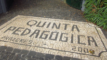 Imagem de Quinta Pedagógica dos Prazeres a meio gás