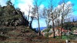 Imagem de Governo manda limpar mais de 10 hectares de terrenos