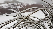 Imagem de Tempo frio na Madeira proporciona imagens diferentes nas serras madeirenses (Vídeo)