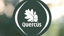 Imagem de Quercus defende que GR e as autarquias têm de fazer mais (áudio)