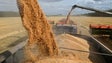 Rússia prolonga acordo de cereais entre Kyiv e Moscovo