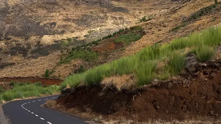 Madeira com classificação de estradas agrícolas e florestais a partir de sábado