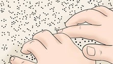Imagem de ACAPO recebe 80 livros em Braille com conselhos da Proteção Civil (Vídeo)