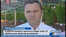 Imagem de CDS defende aumento de salário de produtores de banana (Vídeo)