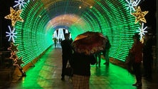 Imagem de Luzes de Natal já brilham no centro do Funchal (Vídeo)