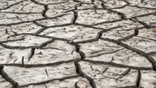 Imagem de Seca: Mais de 90% do território em seca severa ou extrema