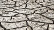 Imagem de Seca: Mais de 90% do território em seca severa ou extrema