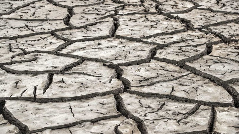 Imagem de Seca: Mais de 90% do território em seca severa ou extrema