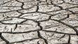 Seca: Mais de 90% do território em seca severa ou extrema