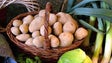 Imagem de Próximo Mercado de Agricultura Biológica realiza-se no Mercado Abastecedor de São Martinho