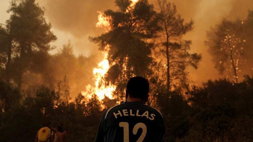 Imagem de Fogos obrigam turistas a deixar hotéis na ilha grega de Rodes