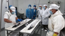 Imagem de Apoios comunitários para o sector das pescas estão esgotados (áudio)
