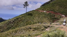 Imagem de Funchal tem mais 32 hectares de faixa corta-fogo (áudio)