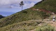 Imagem de Funchal tem mais 32 hectares de faixa corta-fogo (áudio)