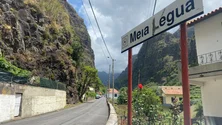 Imagem de Homem que matou mulher a tiro na Madeira fica em prisão preventiva