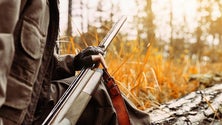 Imagem de Licenças de uso e porte de armas caducadas podem ser legalizadas sem pagar multa