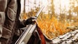 Imagem de Licenças de uso e porte de armas caducadas podem ser legalizadas sem pagar multa