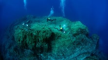 Imagem de Foto do Porto Santo distinguida pela ONU (áudio)