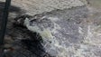 Imagem de Funchal trabalha no escoamento de águas pluviais