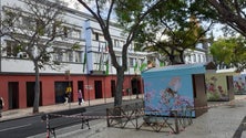 Imagem de Últimos preparativos para a Festa da Flor (vídeo)