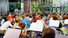Imagem de Dia da Região terá habitual concerto comemorativo (Áudio)