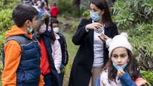 Imagem de Funchal investe 1,1M em projetos de reflorestação no Parque Ecológico