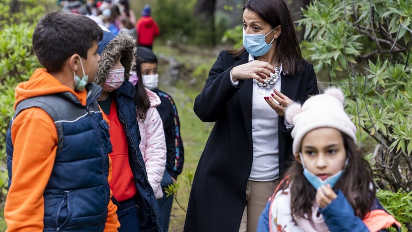 Imagem de Funchal investe 1,1M em projetos de reflorestação no Parque Ecológico
