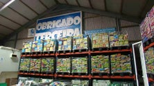 Imagem de Banco Alimentar: Peditório realizado na Terceira rendeu 17,5 toneladas de bens alimentares