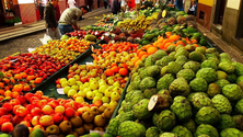 Preparações para a Noite do Mercado (áudio)