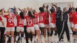 Imagem de Benfica campeão 29 anos depois