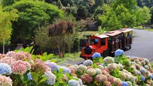 Imagem de Parque Temático da Madeira celebra 17 anos